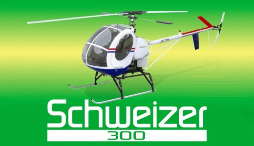 30 SCALE Schweizer 300 [0412-959]